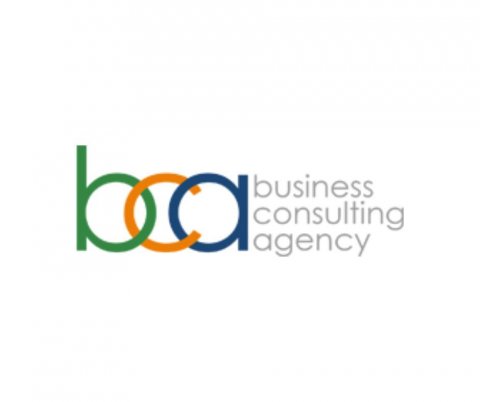 Business Consulting Agency