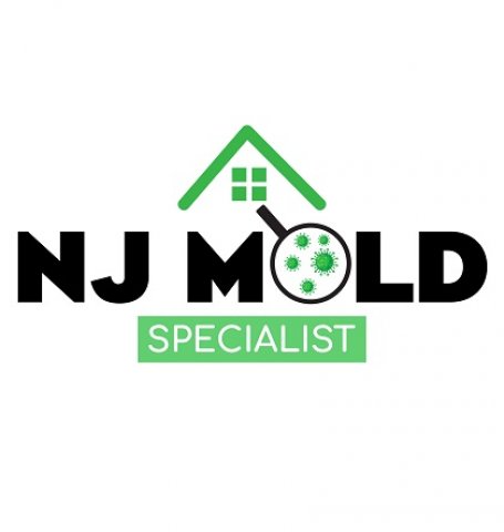 New Jersey Mold Specialist