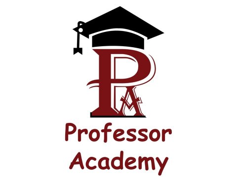 Professor Academy