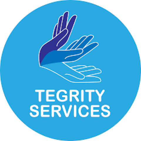 Tegrity Service