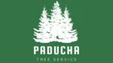 Tree Service Paducah