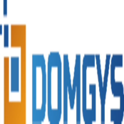 Domgys