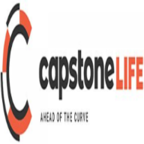 Capstone Midsummer Rain villas IVC Road Bangalore