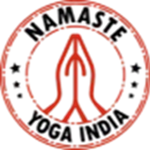 Namaste Yoga India