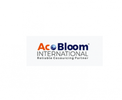 How Outsourcing for UK Accountants Boosts Profitability and Client Satisfaction