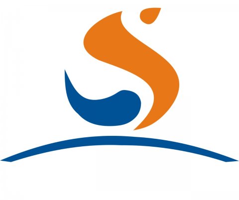 Surya Sales Corporation