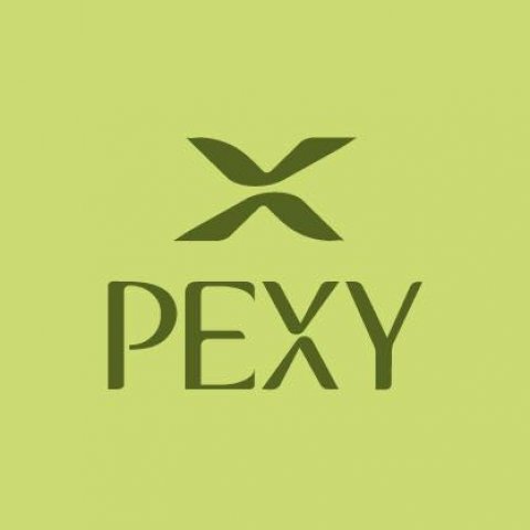 pexy studio