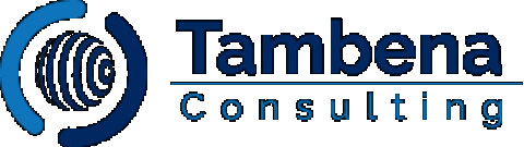 Tambena Consulting