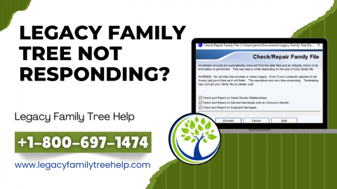 Legacy Family Tree Not Responding?