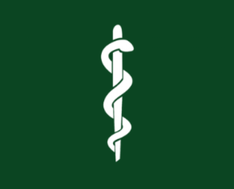 Transpersonal Medicine