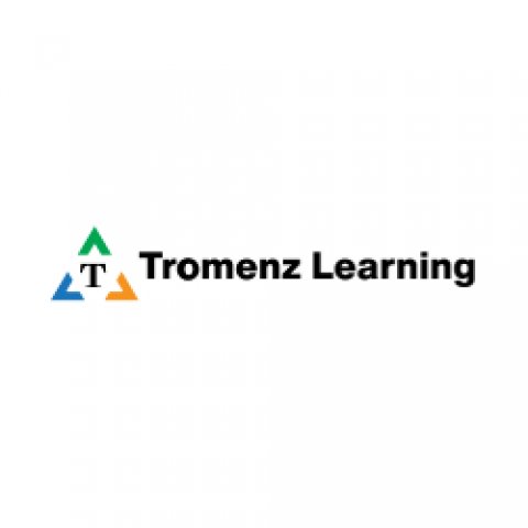 Best CISM Online Training