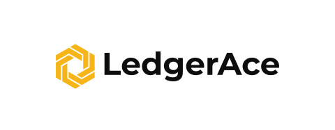 LedgerAce Consulting LLP