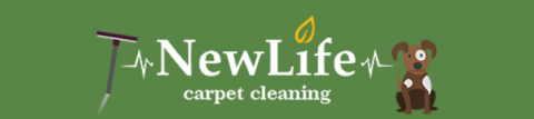 Carpet Cleaning New Life