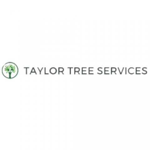 Taylor Tree Services