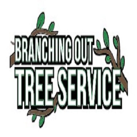 Tree Cutting & Trimming Ronkonkoma