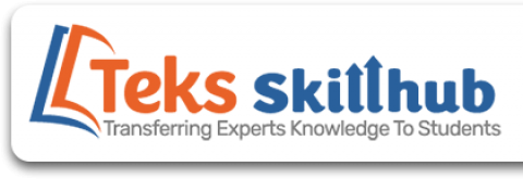 TEKS skill Hub