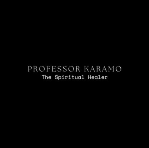 Professor Karamo