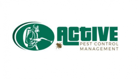 Rat Pest Control Sydney - Active Pest Control Management