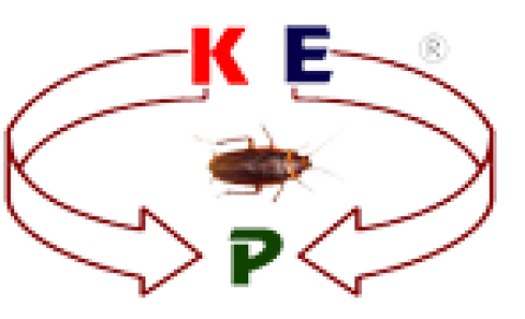 Kiran Pest