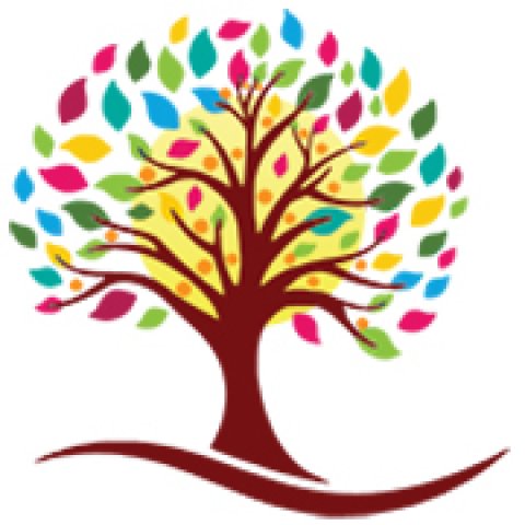 Dr. Dullet Foundation - Nasha mukti kendra