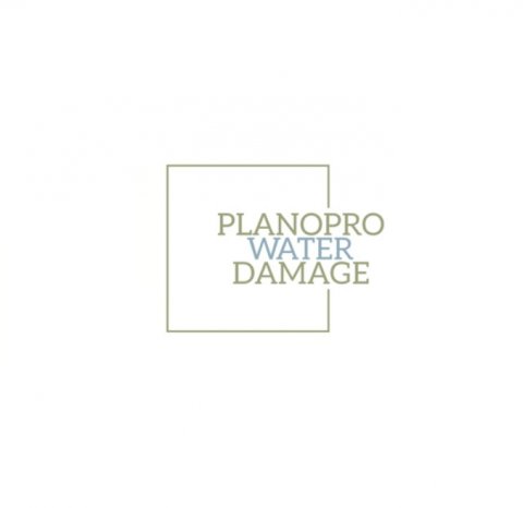 PlanoPro Water Damage