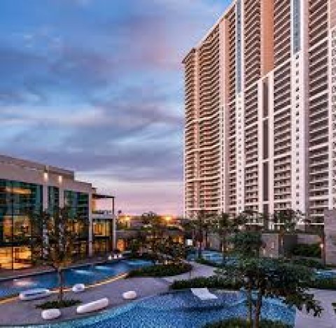 DLF THE ARBOUR 63