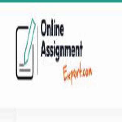 online assignment expert
