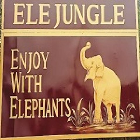 Ele Jungle