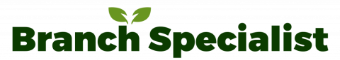Tree Surgeons in South London-Branch Specialist Ltd