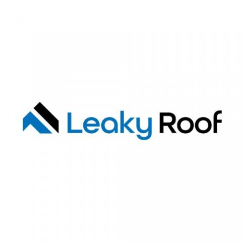 Leaky Roof