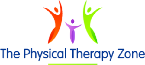 The Physical Therapy Zone