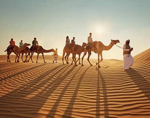 Desert Safari Abu Dhabi