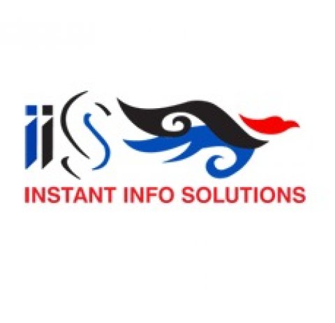 Website Designing Company in Delhi | IIS INDIA