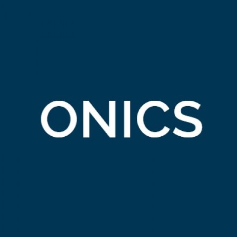 Onics power resistor