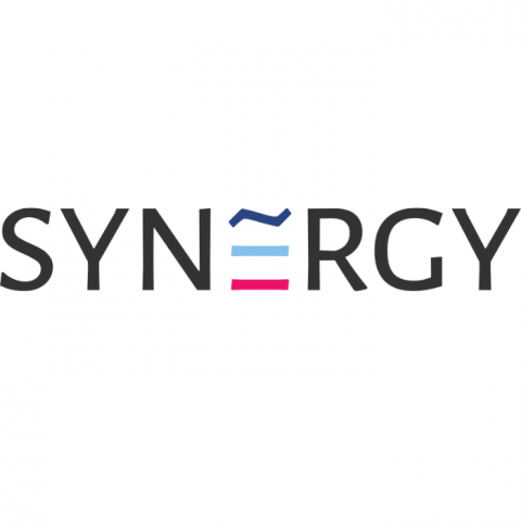 SynergyIT