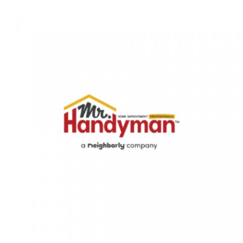 Mr.Handyman of Princeton