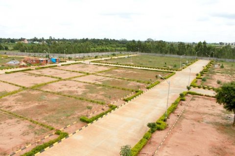 What is the price of authority plots in Noida Extension?