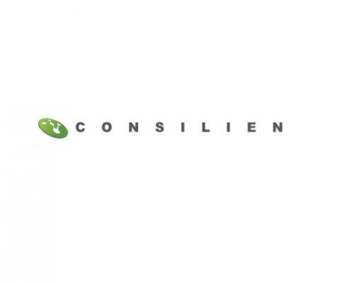 Consilien - Managed IT Consulting Services California