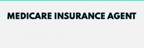 Medicare Insurance Agent