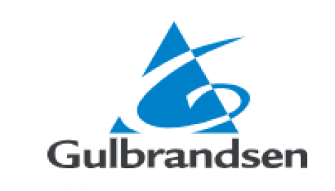 Gulbrandsen - Elements of Excellence