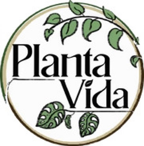 Planta Vida