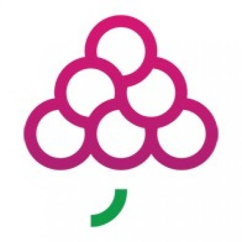 GrapesTech Solutions Pvt. Ltd.