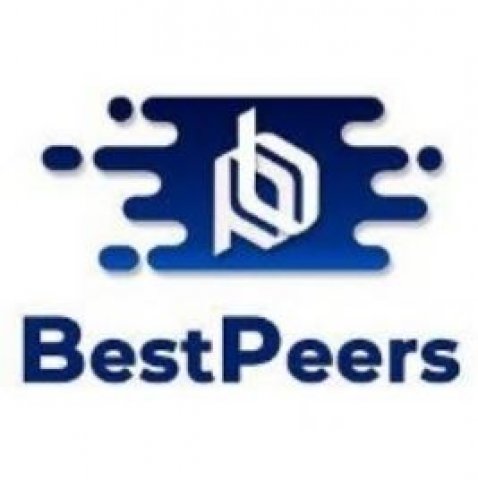 BestPeers