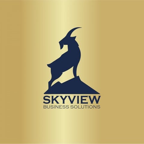 Dental Billing Services in Indiana - Skyview Business Solutions