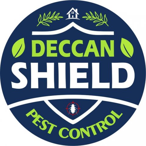 Best Termite Control Services In Hyderabad Near Me | DS
