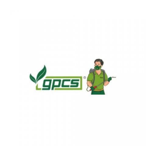 Termite Control Ahmedabad | Gujarat Pest Control Services