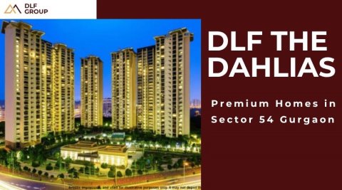 DLF The Dahlias Sector 54 Guragaon