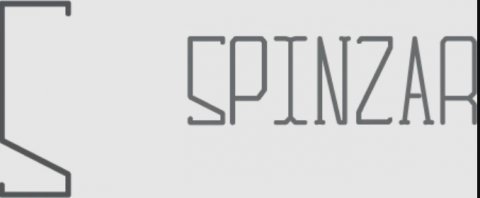 Spinzar Store