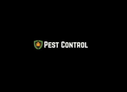Pest Control St Paul