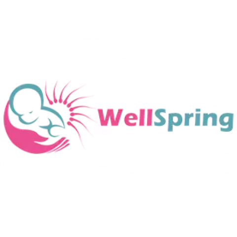 Wellspring IVF & Women Hospital